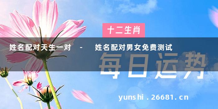 姓名配对天生一对 - 姓名配对男女免费测试